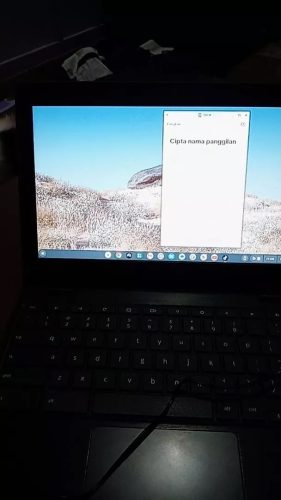 Lenovo 100e business class 10 gen laptop 200/4 gb photo review